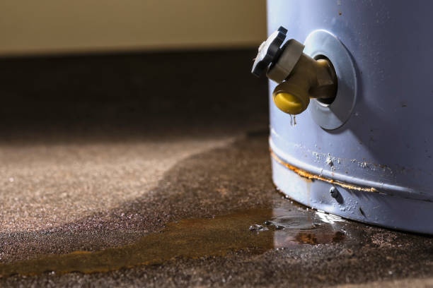 Best Flood damage cleanup  in Norman Park, GA