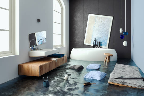 Best Flooded house restoration  in Norman Park, GA