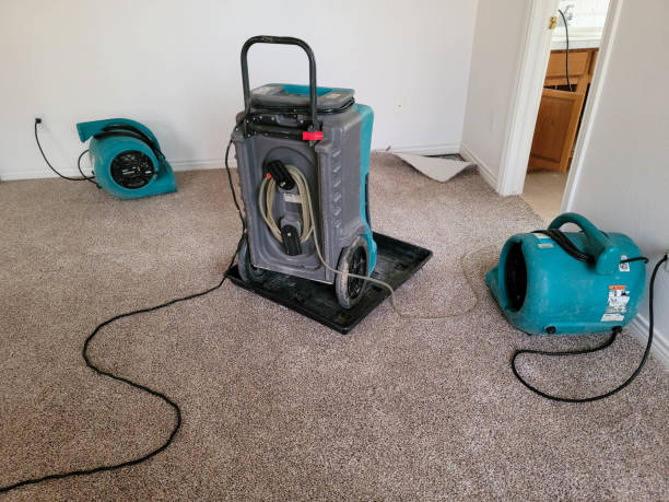 Best Local water damage restoration  in Norman Park, GA