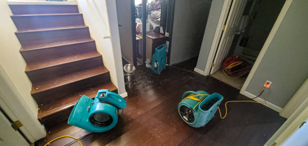 Best Residential water damage restoration  in Norman Park, GA