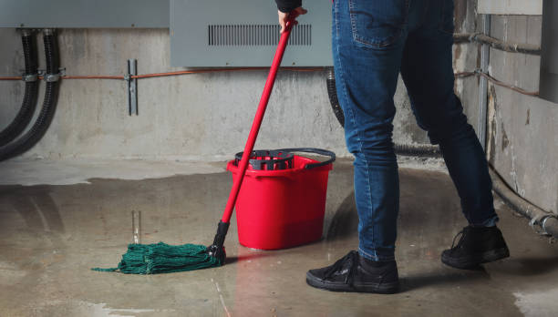 Best Carpet water damage restoration  in Norman Park, GA
