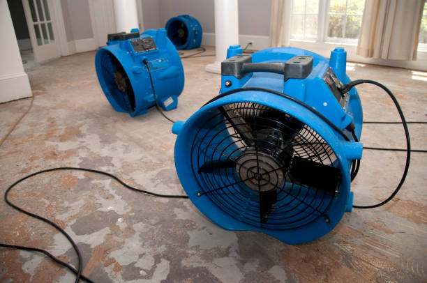 Best Basement water damage restoration  in Norman Park, GA