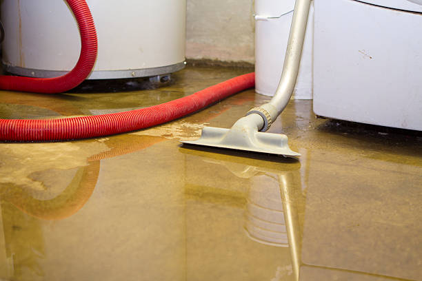 Best Commercial water damage restoration  in Norman Park, GA