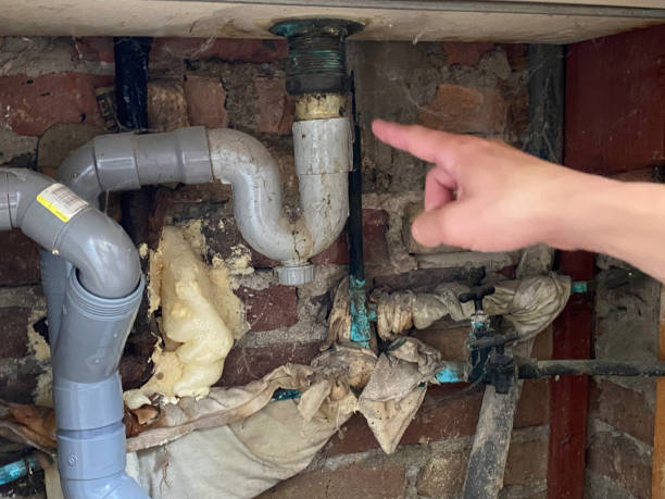 Best Mold removal after water damage  in Norman Park, GA