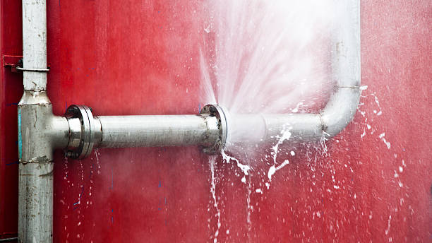 Best Water damage restoration near me  in Norman Park, GA