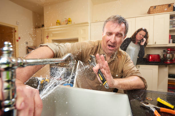 Best Sewage cleanup and water damage restoration  in Norman Park, GA
